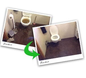 WC-Verstopfung Bürstadt